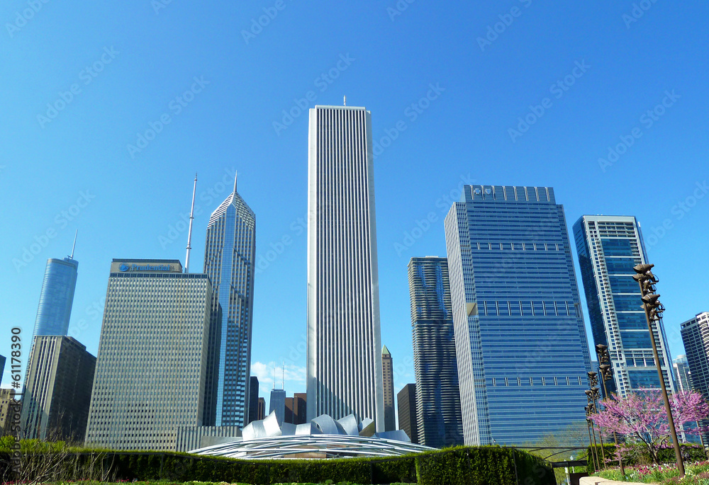 Fototapeta premium Chicago Downtown