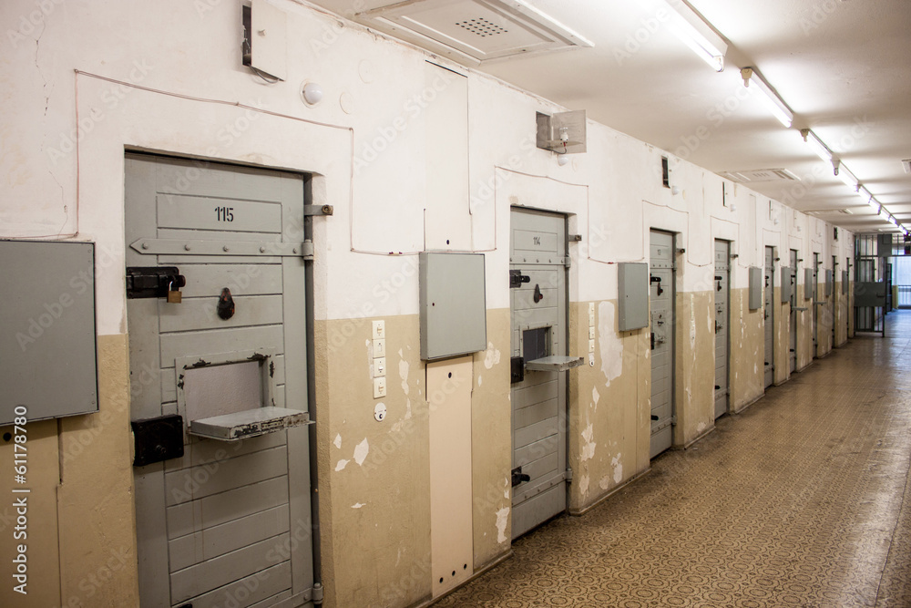 custom made wallpaper toronto digitalBerlin-Hohenschonhausen Memoria