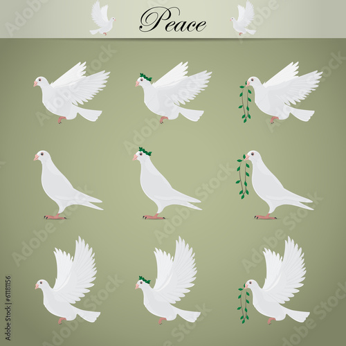 White Pigeons Set - Isolated On Gray Background