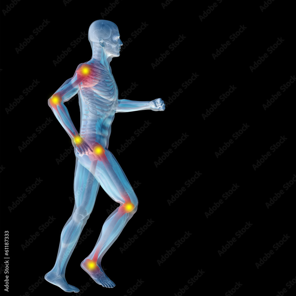 3D human man anatomy with articular pain