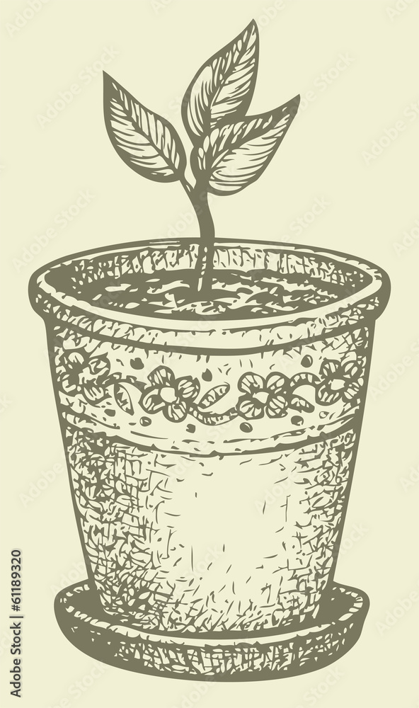 Fototapeta premium Vector monochrome drawing. Sprout in a pot