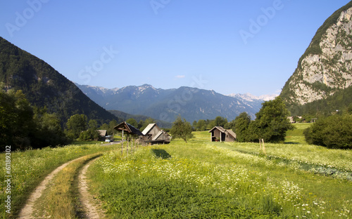 Alpine valley in Slovenia, Bohinj