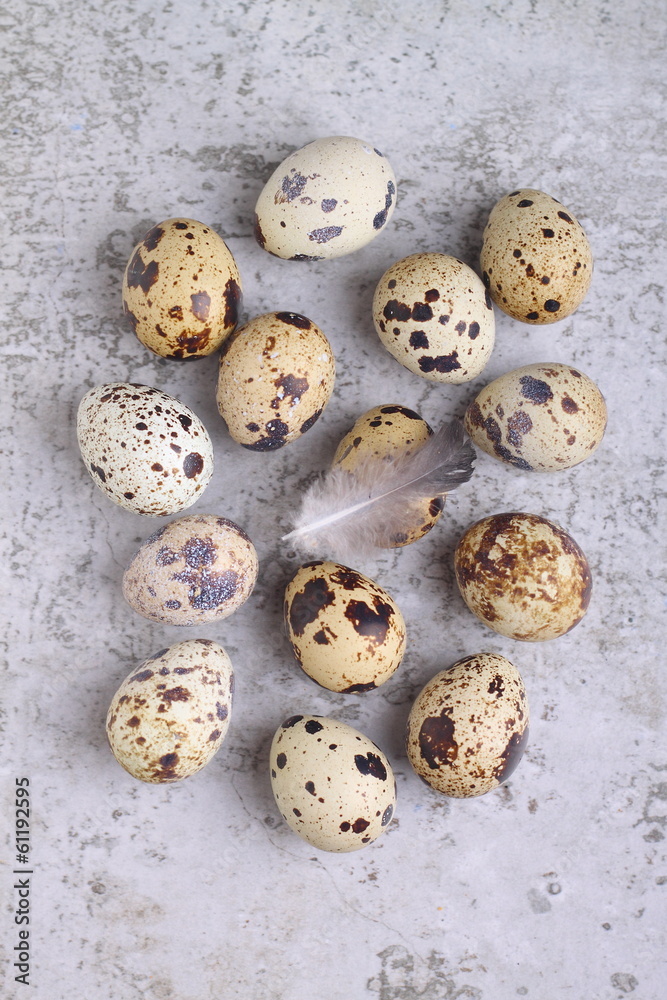 quail eggs quail eggs