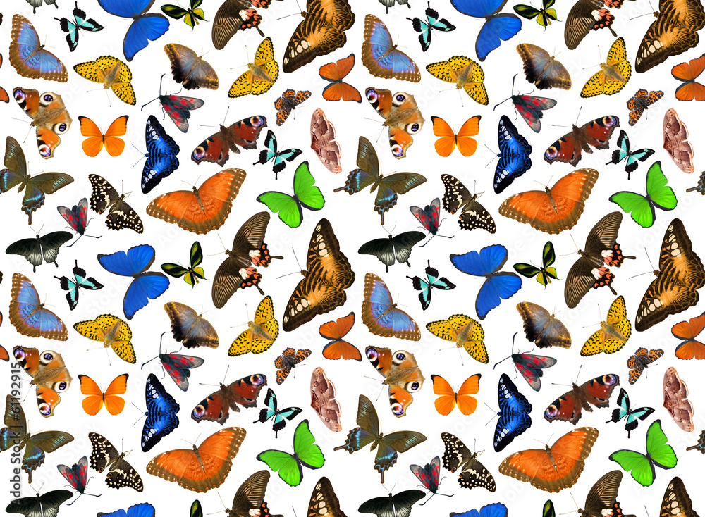 seamless background from many butterflies