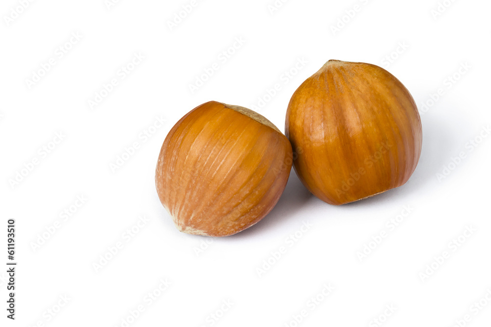 Isolated hazelnuts on white background Isolated hazelnuts on white background