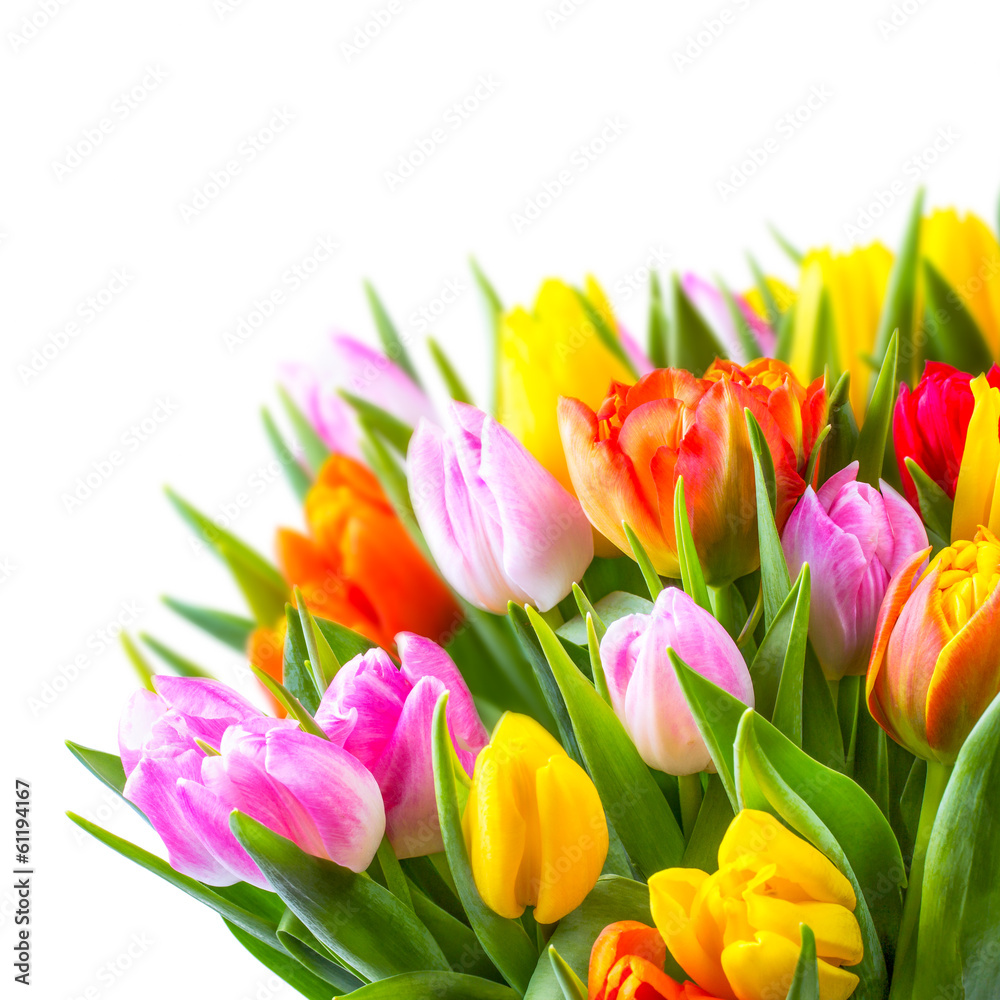 custom made wallpaper toronto digitalbunter Blumenstrauß