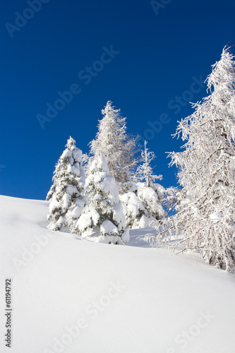 Paganella ski