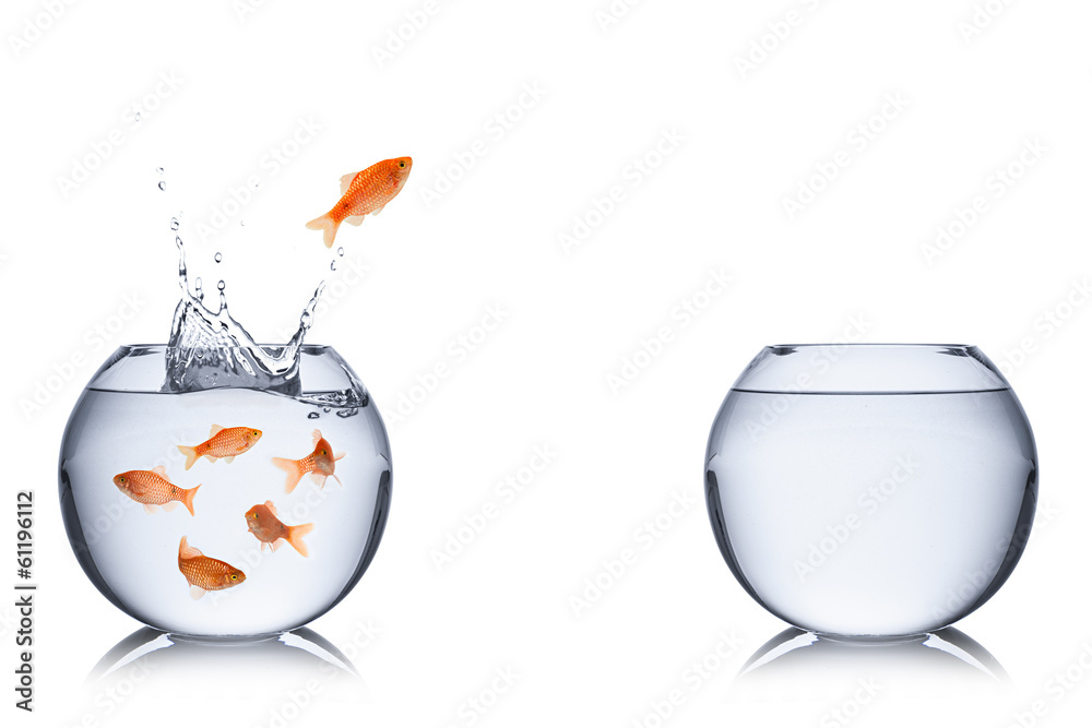 Foto fish escape