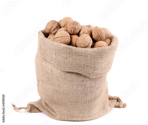 Sack full of walnuts. Close up.