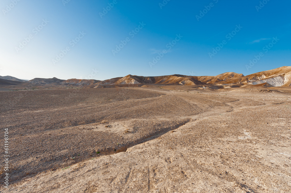 Desert Desert