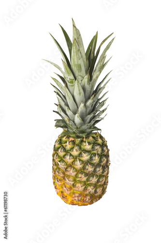 Pineapple on White