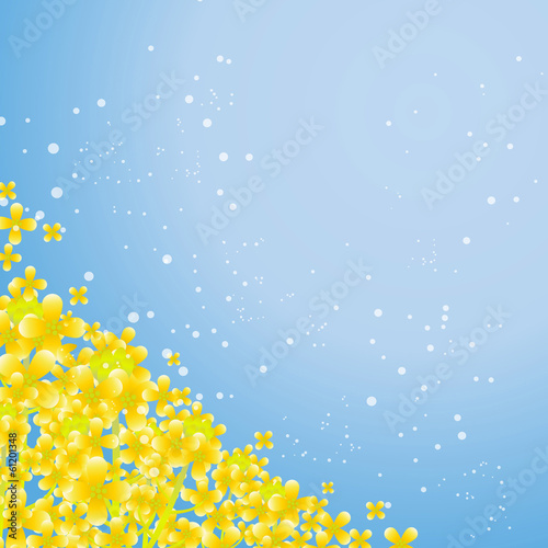 菜の花と青空のフレーム