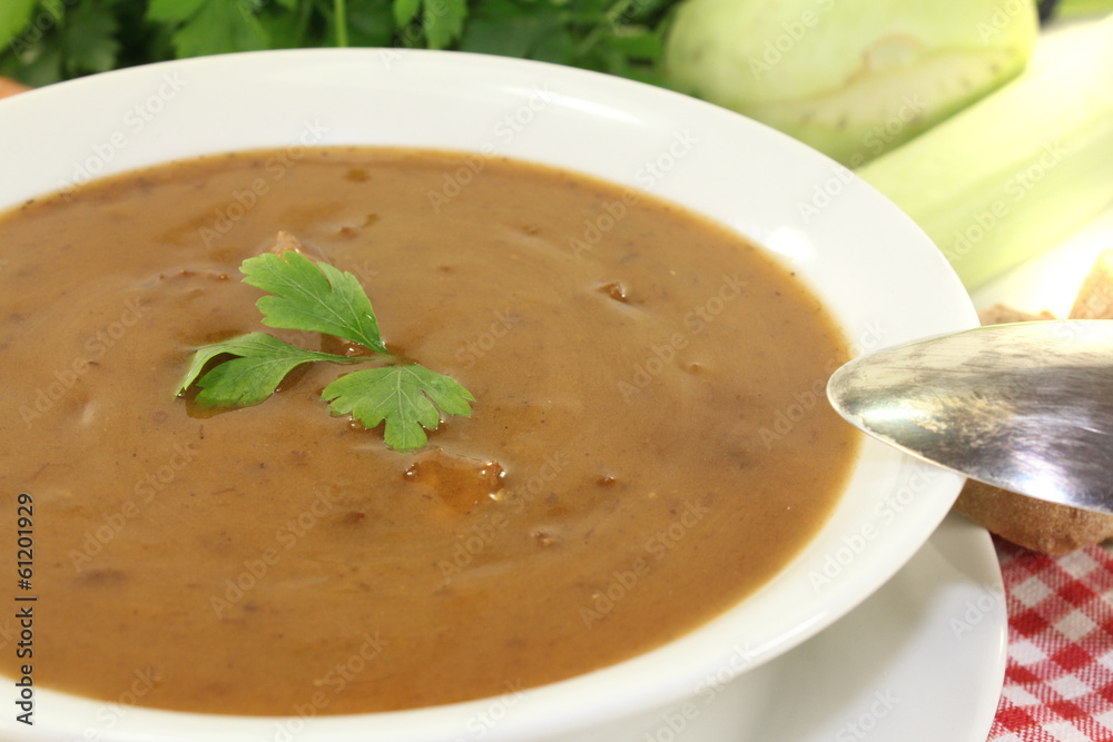 Ochsenschwanzsuppe mit Rindfleisch Ochsenschwanzsuppe mit Rindfleisch