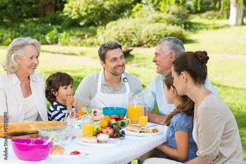 Extended family having lunch in the lawn