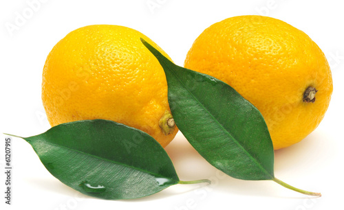 Lemon and leaf