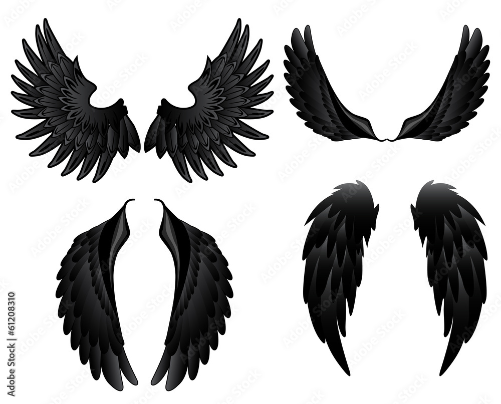 Obraz premium Black wings