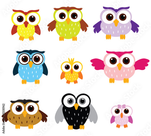 Wallpaper Mural Owls colors Torontodigital.ca