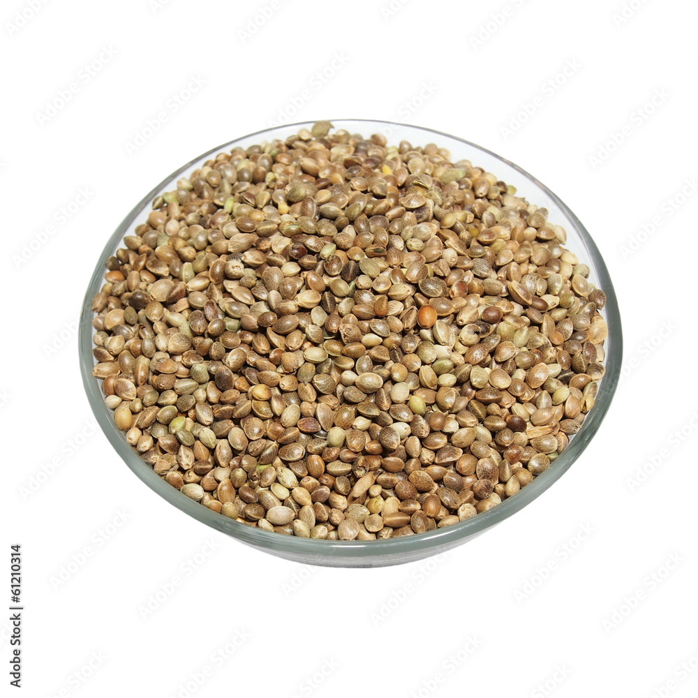 glass bowl full of hemp seeds isolated on white background glass bowl full of hemp seeds isolated on white background