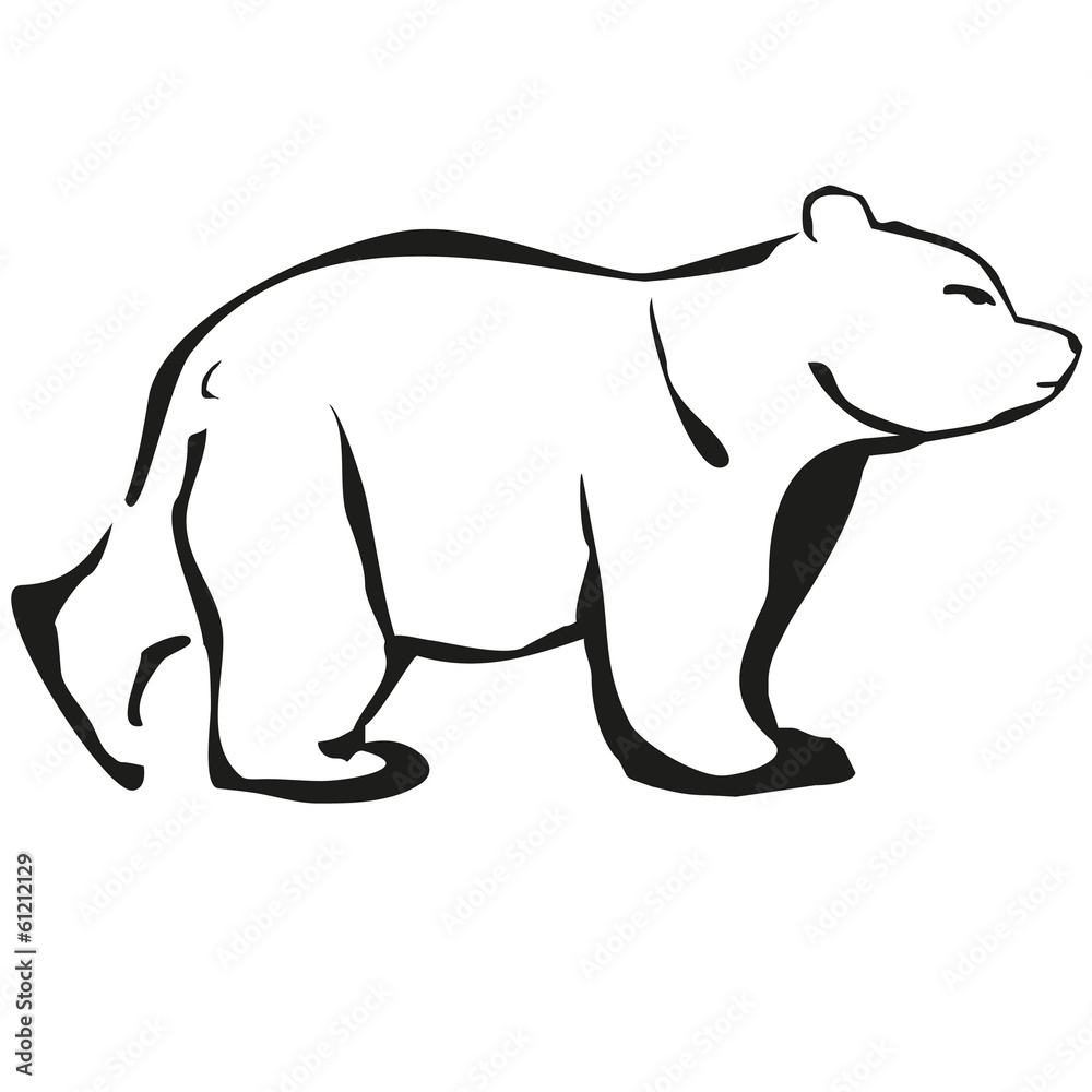 Fototapeta white bear