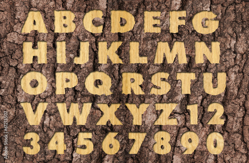 Carved Oakwood alphabet