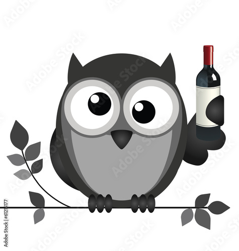 Drunken owl sat on a branch