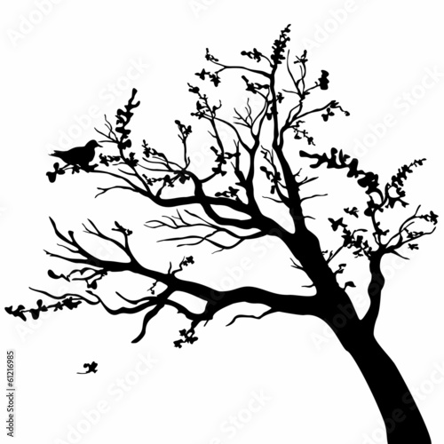 Tree silhouette with leaves on white background.