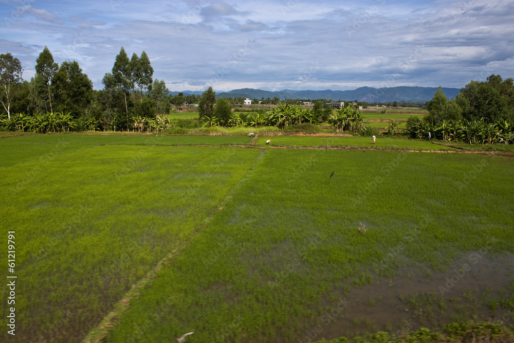 Countryside in Southern Vietnam