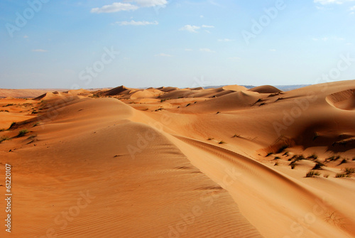 Beautiful dunes in Omani desert