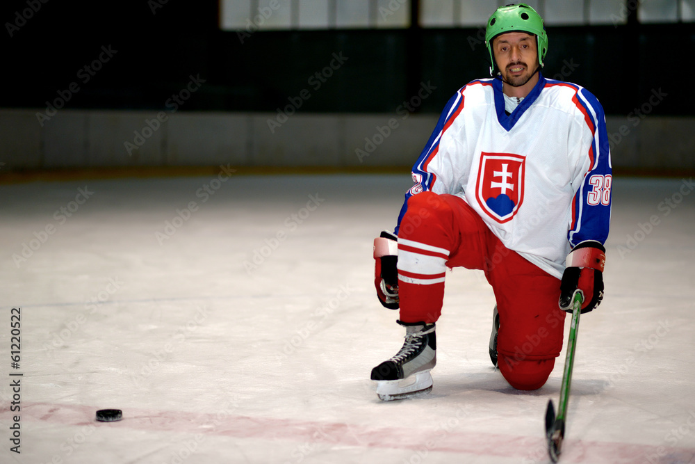Obraz premium Ice Hockey Player