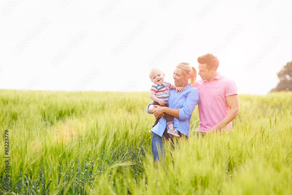 Family Walking In Field Carrying Young Baby Son Family Walking In Field Carrying Young Baby Son