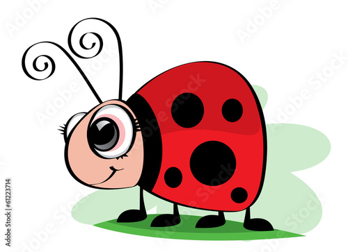 Coccinelle