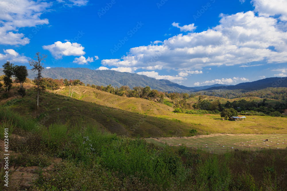 A rural view of farmland in North of Thailand A rural view of farmland in North of Thailand