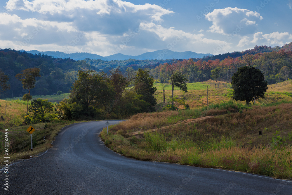 raod to country side in North of Thailand