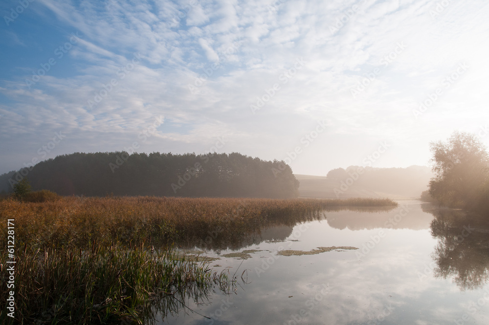 Fototapeta premium sunrise over the marsh