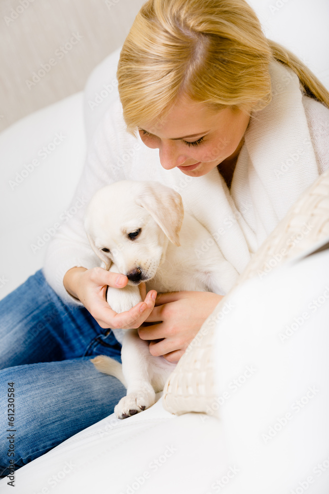 Woman plays with white puppy of Labrador on sofa Woman plays with white puppy of Labrador on sofa
