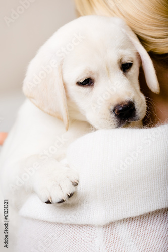 Back view of woman in white sweater embracing Labrador puppy