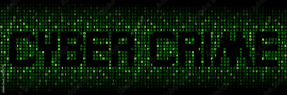 Cyber crime text on hex code illustration Cyber crime text on hex code illustration
