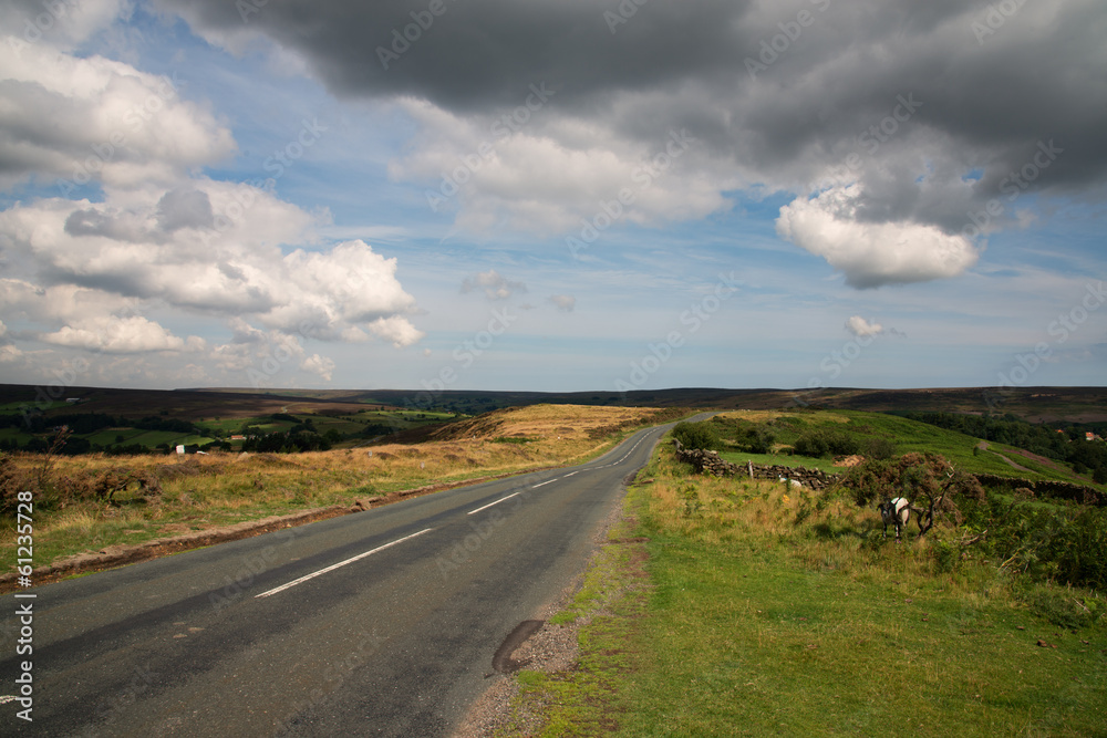 North Yorkshire Moors