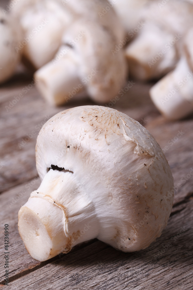 Fresh mushrooms macro. vertical Fresh mushrooms macro. vertical