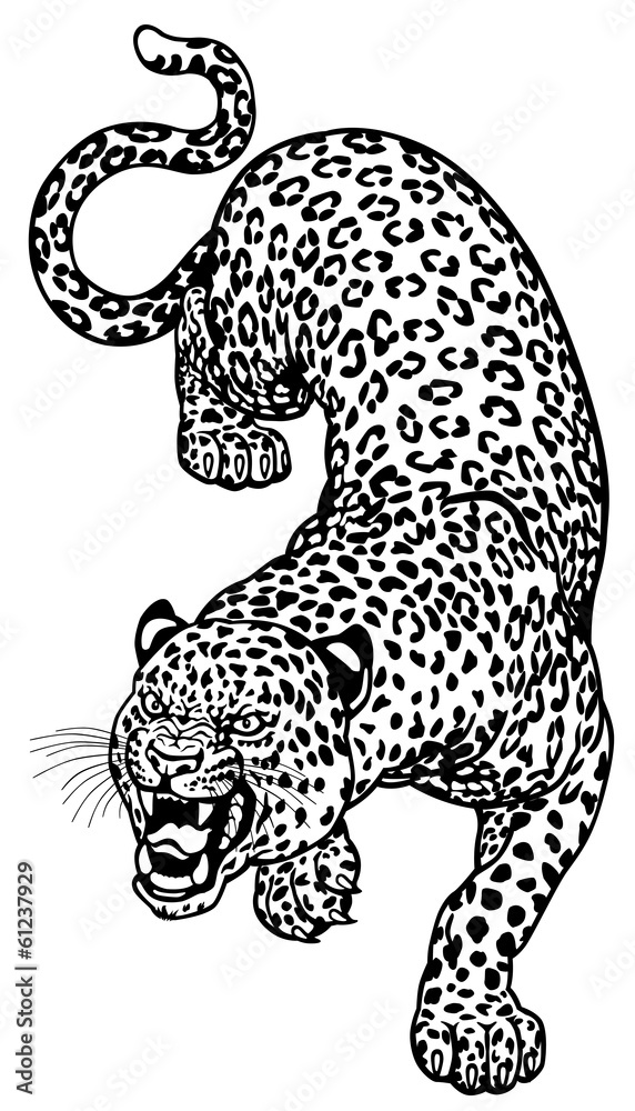 Fototapeta premium leopard black white tattoo