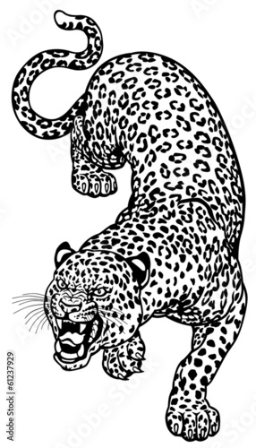 leopard  black white tattoo