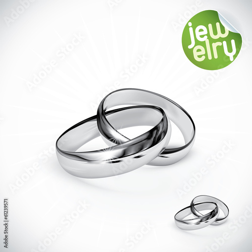 Vector Silver Rings Illustration, Icons, Button