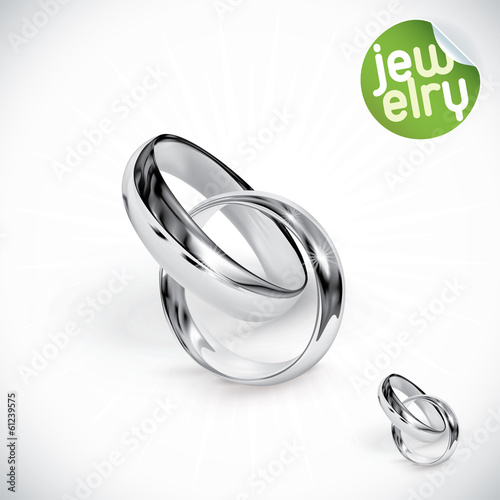 Vector Silver Rings Illustration, Icons, Button