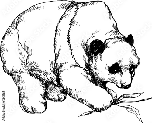 Fototapeta Naklejka Na Ścianę i Meble -  hand drawn panda