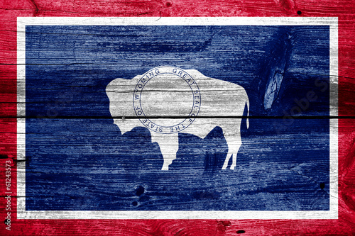 Wyoming State Flag painted on old wood plank texture photo