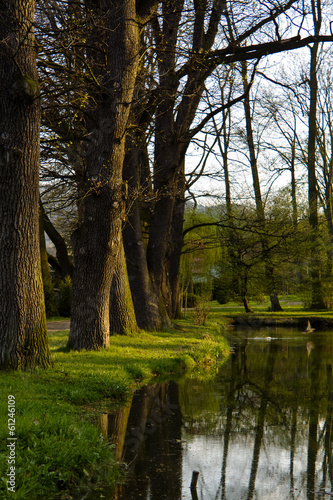 in the park