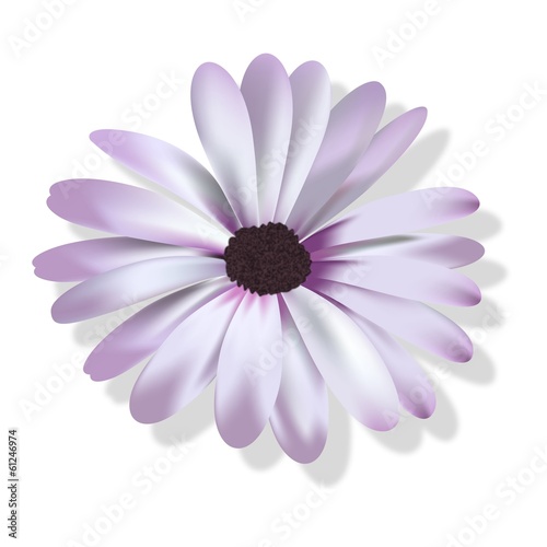 fiore
