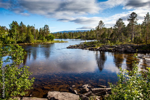 Beautiful landscape -crystal  river