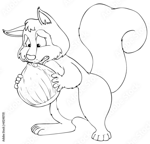 Eichhörnchen, Nuss, Haselnuss