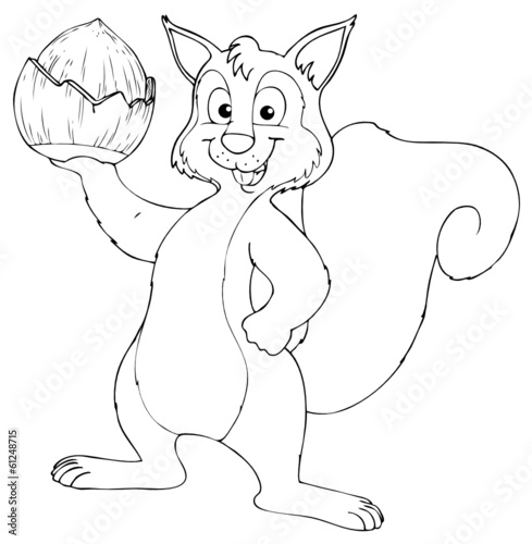Eichhörnchen, Nuss, Haselnuss